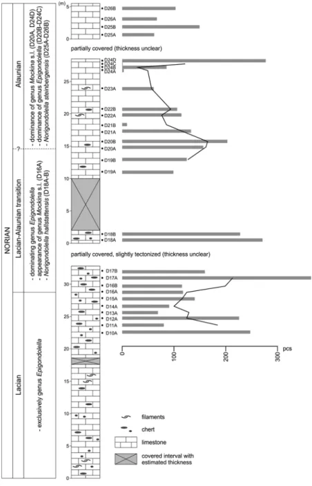 Fig. 4.3Stratigraphic column of the Dovško succession with the position of the collected samples
