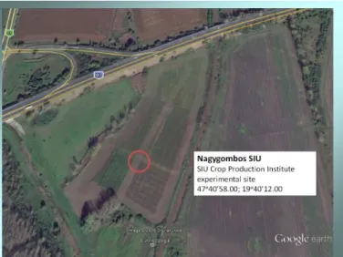 Figure 4. Satellite photo of the Experimental site of the SIU Crop Production Institute Nagy- Nagy-gombos, 2016.