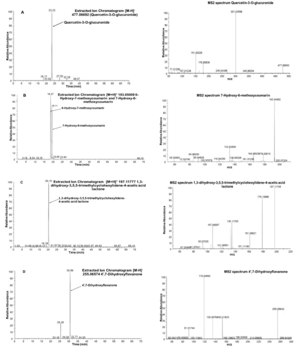 Figure  4.  Extracted  Ion  Chromatograms  (XIC)  and  MS  spectra  of  selected  phytoconstituents  from  Jerusalem  artichoke  leaf  protein  concentrate:  (A):  quercetin-  3-O-glucuronide;  (B):   7-Hydroxy-6-methoxycoumarin  (Scopoletin);  (C):  1,3-d