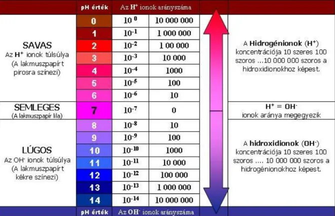 1.11. ábra: pH-skála (http://www.lugositas.info/ph_ertek_savak_lugok_sok)  Lásd még: Lakmuszpapír, Anyagmennyiség-koncentráció 