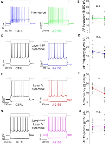 Figure 6. SST 4  receptor activation decreases firing frequency of layer V pyramidal cells of the primary  somatosensory cortex (S1)