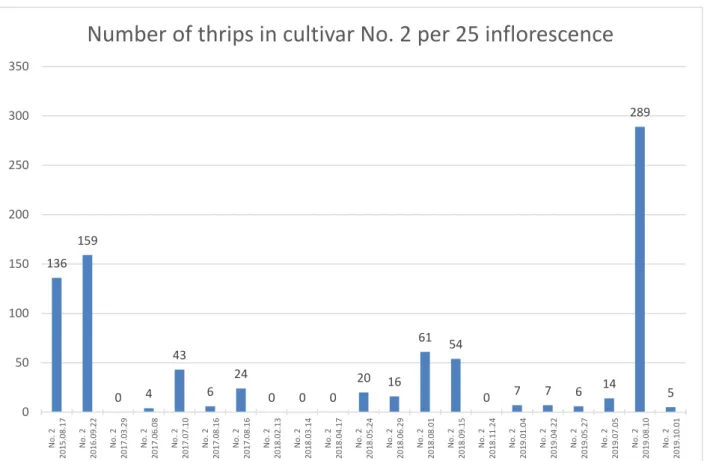 Figure 7. Number of thrips in cultivar No. 2 per assession date 