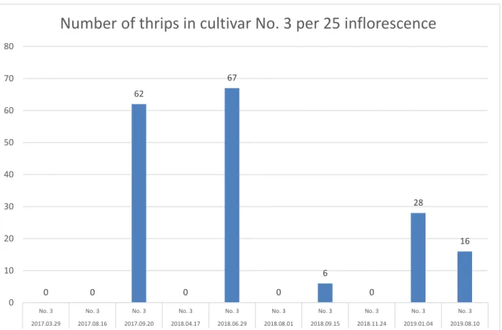 Figure 8. Number of thrips in cultivar No. 3 per assession date 