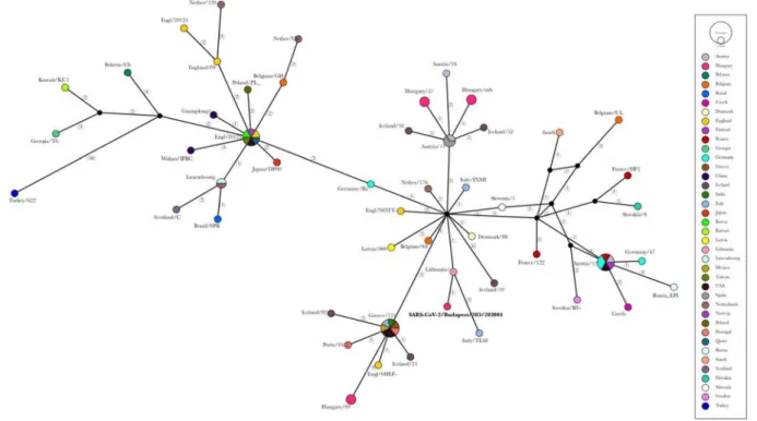 Fig. 3 Median-joining network of 70 haplotypes mainly from Europe (4 out of this dataset is representative from Hungary).