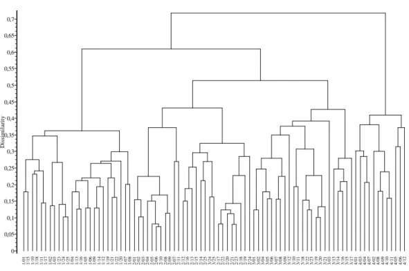 3. ábra Cönológiai felvételek bináris dendrogramja 