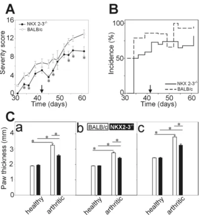 Figure 1. The comparison of the clinical parameters of recombinant human G1 (rhG1)-induced  arthritis (GIA) in Nkx2-3 −/−  and control BALB/c mice