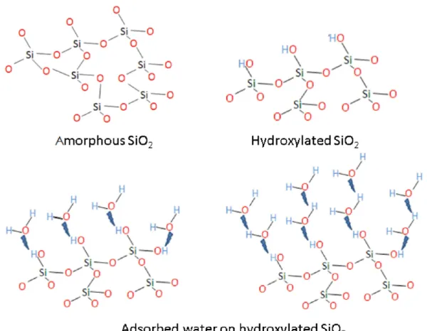 Figure 6. Schematic diagram illustrating stepwise OH − interactions with a-silica. Hydrogen bonding between absorbed water molecules is not shown in the figure, as it is beyond the scope of our study.