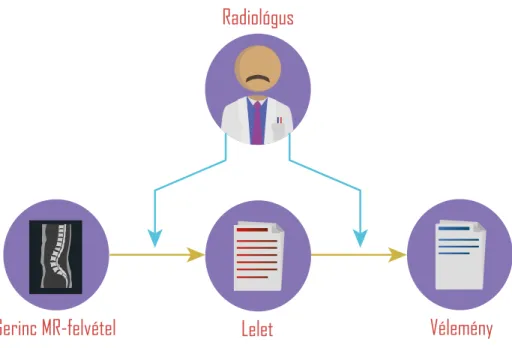 1. ábra: A radiológus munkája a vizsgálat után
