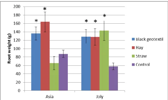Figure 4. Fresh root-weights of srawberry plants in the third year of cultivation when applying  different mulching systems (Kecskemét, 2018) 