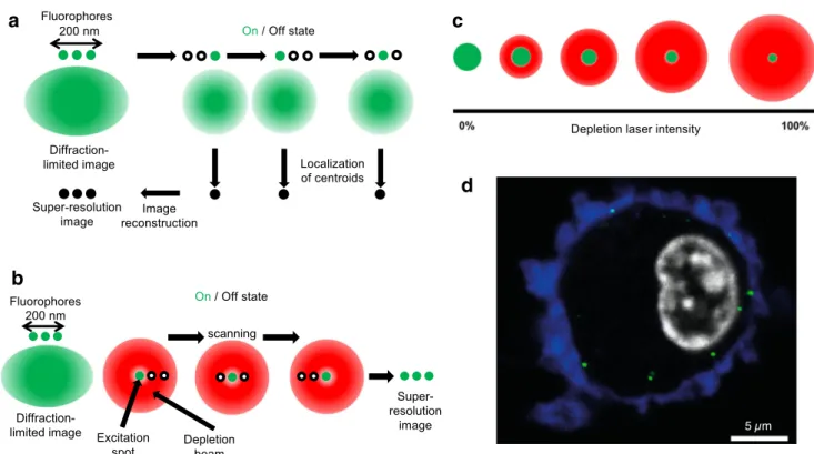Fig. 5 Super-resolution microscopy techniques employed in single- single-particle virus research
