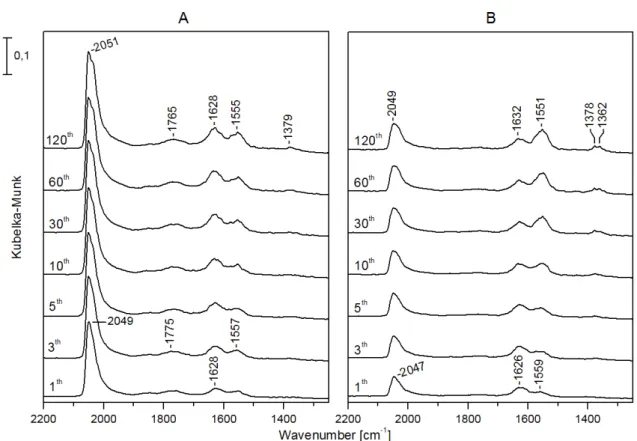 Figure 9. Infrared spectra registered during CO 2 + H 2 reaction at 493 K on Rh/TiONW (A) and Au-Rh/TiONW (B)
