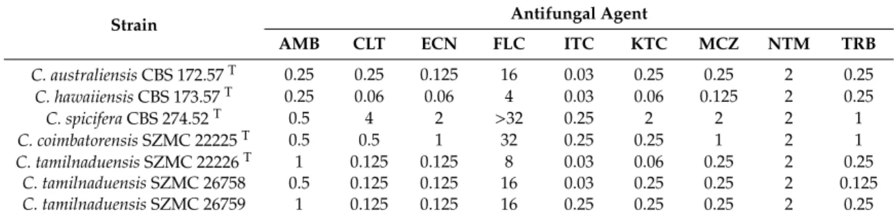 Table 3. Antifungal susceptibilities of the Curvularia coimbatorensis and Curvularia tamilnaduensis strains in comparison with the type strains of Curvularia australiensis, Curvularia hawaiiensis, and Curvularia spicifera determined by the CLSI (Clinical &