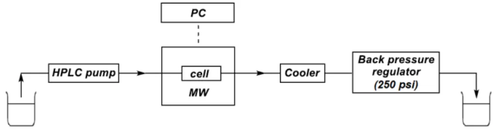 Figure 1. Sketch of the continuous flow system used. 