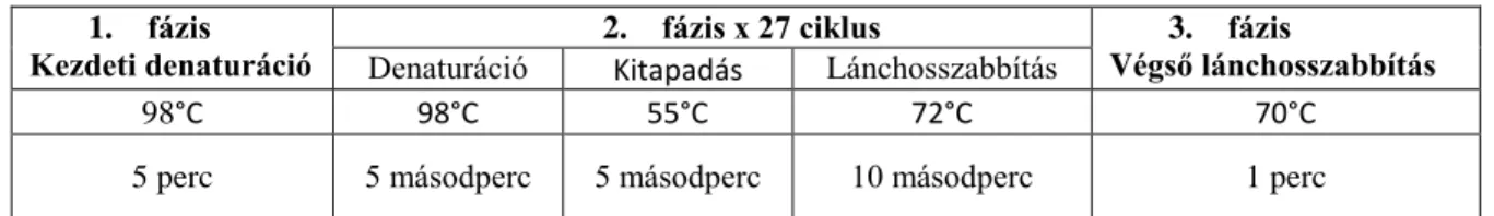 1. táblázat: A PCR program beállításai 