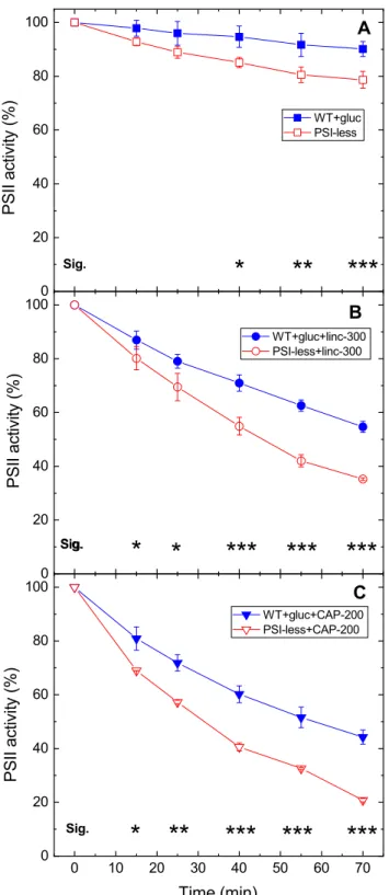 Fig. 4    Differential light sensitivity of WT and PSI-less Synechocystis cells. 