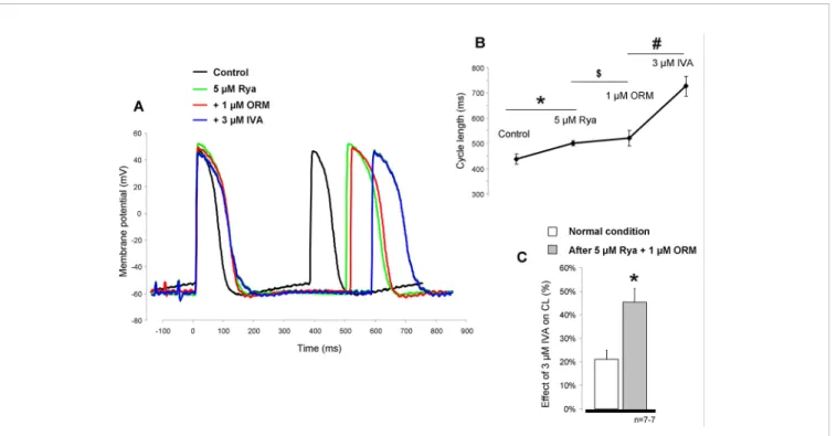 FIGURE 6 | The potential inﬂuence of Ca 2+ handling suppression by 5 µM ryanodine (RYA) (green line) and 1 µM ORM-10962 (red line) on the effect of funny current (I f ) reduction was investigated