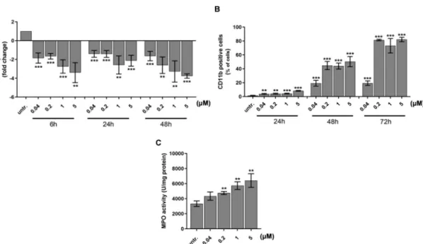 Figure 4. DU325 induces differentiation of HL-60 promyelocytes. As a proof of cellular differentiation, the expression of AML blast and leukemia stem cell marker CD33 decreased (A)