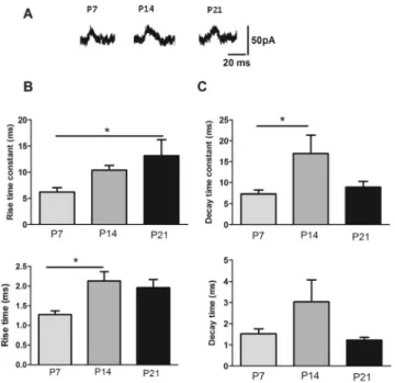 Figure 3 demonstrates recordings of NMDA sEPSCs at þ 40 mV during brain develop- develop-ment