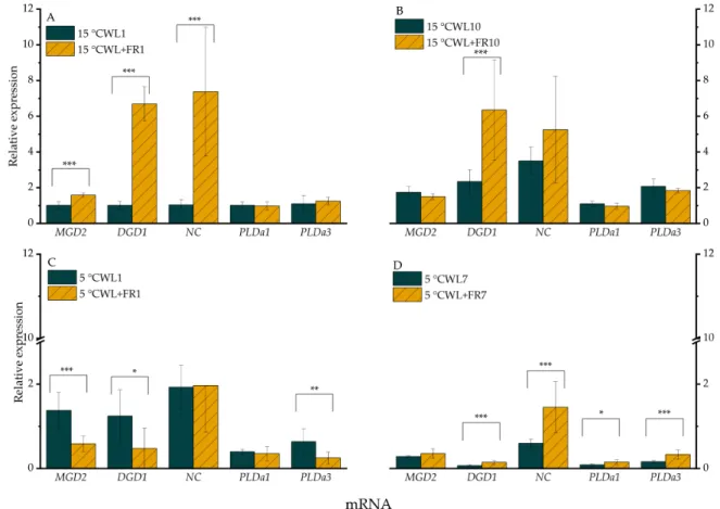 Figure 2. Relative expression levels of selected genes in leaves of barley “Nure” plants incubated at 15 ◦ C for 1 day (A) and for 10 days (B), and leaves grown at 5 ◦ C for 1 day (C) and for 7 days (D), under WL and WL+FR