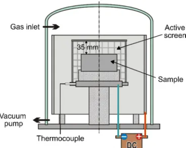 Fig. 1. Illustration of the used plasma nitriding equipment.