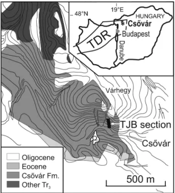 Fig. 3. Palaeogeographical position of the Csővár basin in global context (panel A) and within the western Neotethys (panel B)