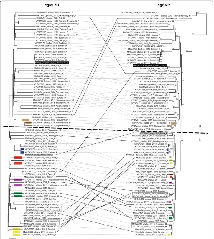 Fig. 1 cgMLST and cgSNP based phylogenetic trees of 81 M. anserisalpingitidis strains