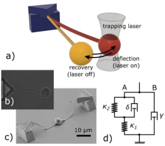 FIG. 2. (a) The bending recovery experiment. (b) Bright-ﬁeld picture of the cantilev- cantilev-ered nanowire in water