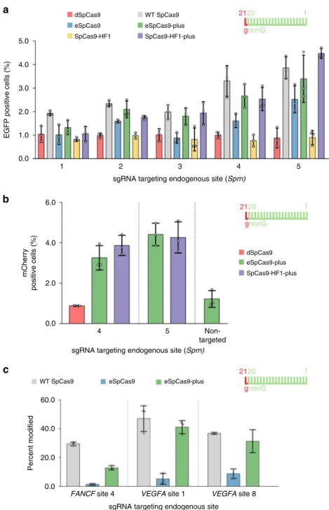 Fig. 7 Blackjack variants facilitate modi ﬁ cation of the endogenous Sprn gene at the 5 ′ coding region and are effective with sgRNAs expressed from a single-copy lentivirus