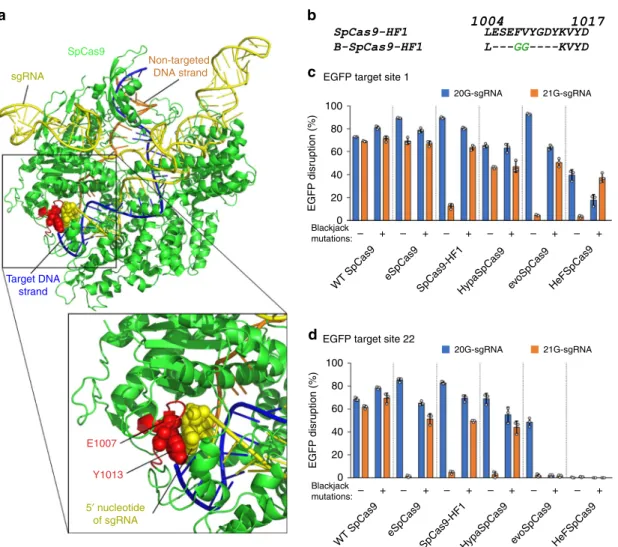 Fig. 1 Structure-guided mutagenesis increases on-target activity of SpCas9-HF1 with 21G-sgRNAs