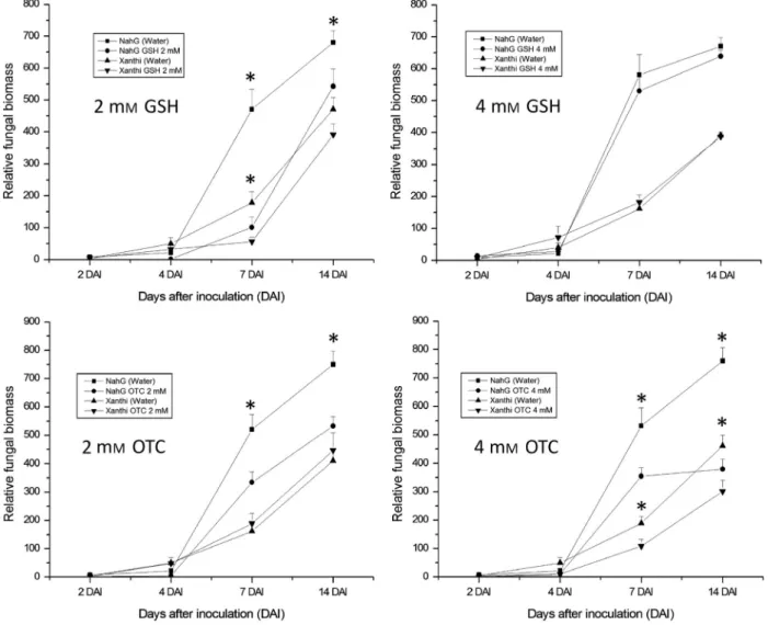 Fig. 3. Effects of artificially added reduced glutathione (GSH) or R-2-oxothiazolidine-4-carboxylic acid (OTC) on fungal biomass of Euoidium longipes in wild- wild-type Nicotiana tabacum cv