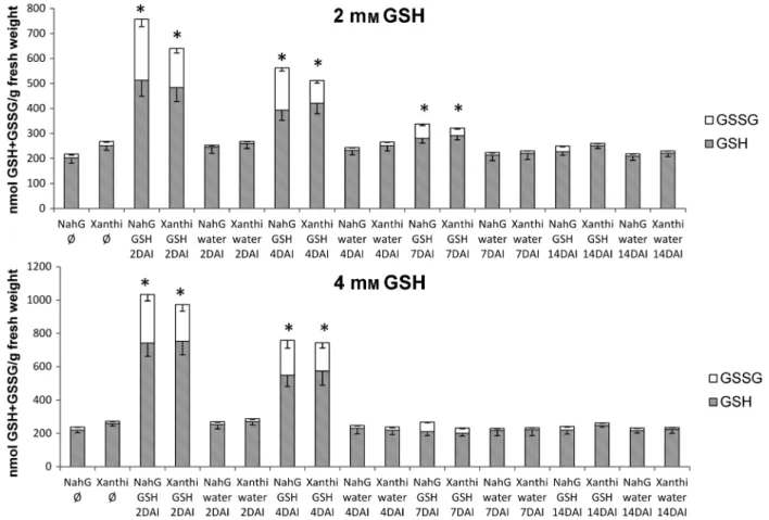 Fig. 4. Reduced (GSH) and oxidised (GSSG) glutathione contents in SA-deficient Nicotiana tabacum cv