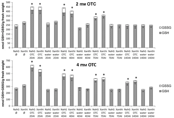 Fig. 5. Reduced (GSH) and oxidised (GSSG) glutathione contents in SA-deficient Nicotiana tabacum cv