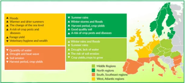 1. ábra Az éghajlatváltozás mezőgazdaságra gyakorolt lehetséges hatásai az EU tagállamaiban  Forrás: European Commission-DG Agri (2013) 