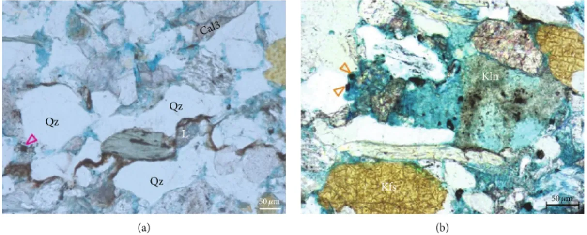 Figure 10: Photomicrographs showing petrographic features of the bituminous organic matter in samples of the Algy ő Formation