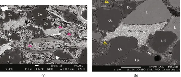 Figure 5: SEM-BSE images showing sedimentary components in matrix-rich sandstones. (a) Calcite matrix (pink arrows) occurs only in the sandstones of the Endrőd Formation, well M7, 5471 m, Endrőd Fm