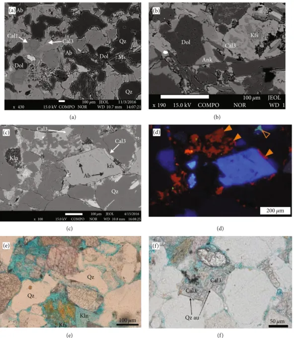 Figure 6: SEM-BSE images, photomicrographs, and CL image showing diagenetic components.(a) Fine-grained sandstones are characterized by concavo-convex grain contacts