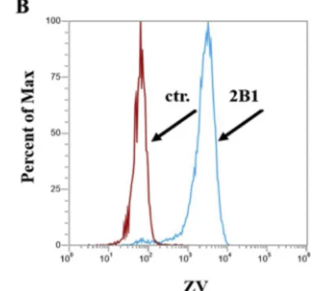 Fig. 3. Inhibition of dye uptake in A431- A431-OATP2B1 cells by halogenated 13-epiestrones.