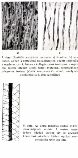 keletkezését a 8. ábra szemlélteti