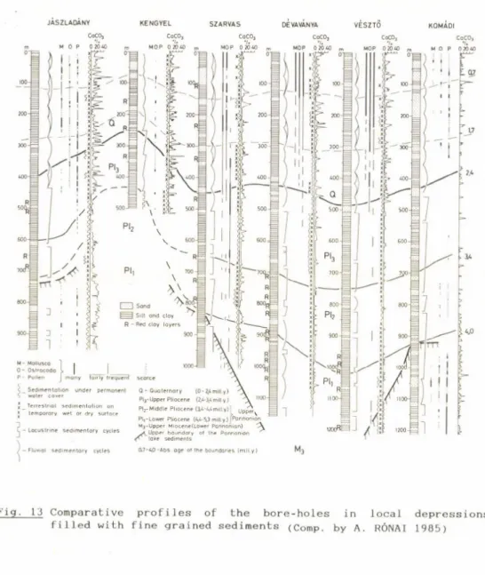 Fig.  13  Comparative  profiles  of  the  bore-holes  in  local  depressions  filled  with  fine  grained  sediments  (Comp,  by  A