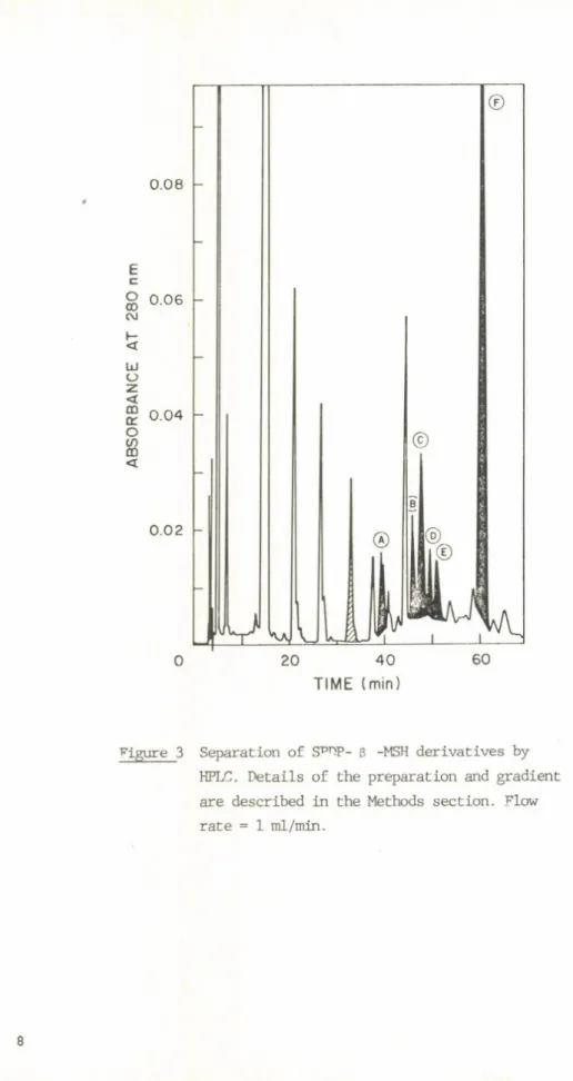 Figure  3  Separation  of  SPTTP-  ß  -MSH  derivatives  by HFLC.  D etails  of  the  preparation  and  gradient  are  described  in  the  Methods  section