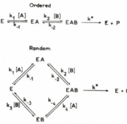 Fig.  2.  Ordered  and  random mechanisms  with an alternative  substrate of A.