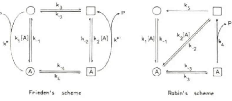 Fig.  6.  Rabin and  Frieden  schemes  of  conformational  transitions  for  a  one-  substrate  enzyme.