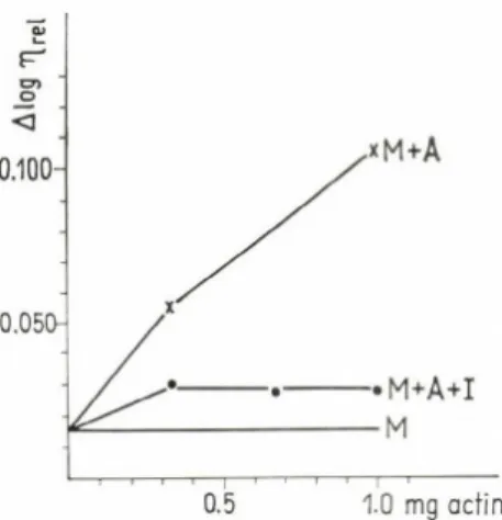Figure  2  shows  the  effect  of th e  protein  factor  on  the  polym erization  of  G  actin