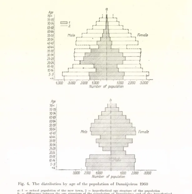 Fig.  4.  T h e   distribution  b y   age  of  th e   p o p u la tio n   of  D unaújváros  1960
