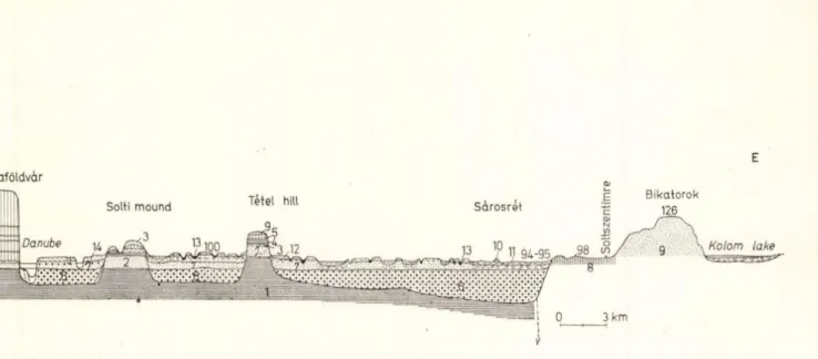 Fig.  5.  Morphological  profile  of  the  floodplain  of the  Danube  in the  Great  Plains  (constructed  by  the  author  from  data  by  M