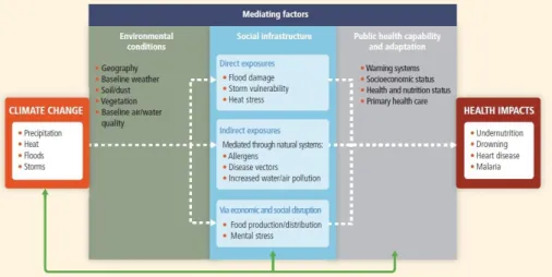 Figure 2. Conceptual model of basic pathways by which climate change affects health  Source: IPCC 2014