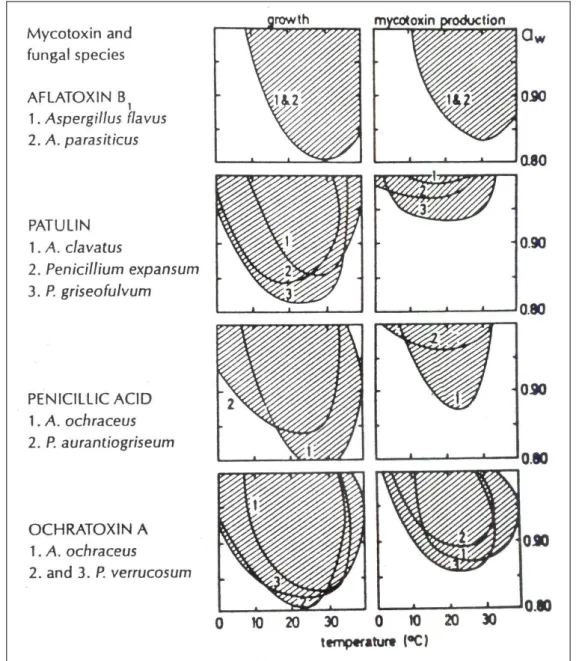 11. ábra A hőmérséklet és a vízaktivitás hatása a penészgomba növekedésére és mikotoxin- mikotoxin-termelésére (NORTHOLT et al., 1996) 