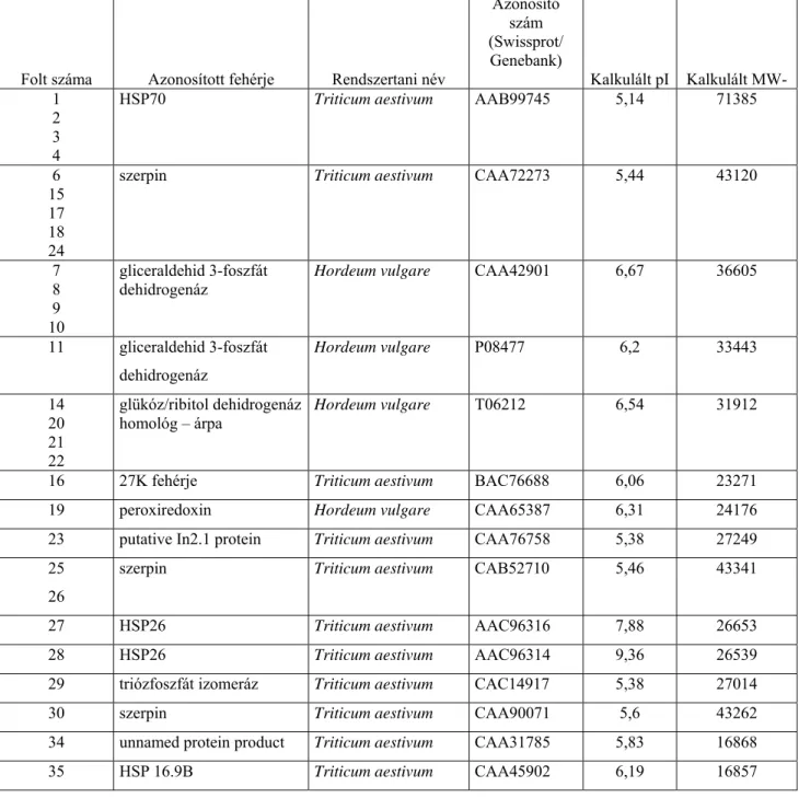 6. táblázat: Az éretlen (7 DPA) Marko tritikále albumin-globulin frakciójából MALDI-TOF MS  módszerrel azonosított fehérjék adatai 