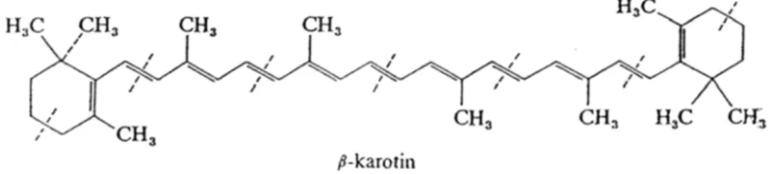 1. ábra: A β-karotin szerkezeti képlete (Gombkötő – Sajgó, 1985; Szalai, 1994 nyomán) 