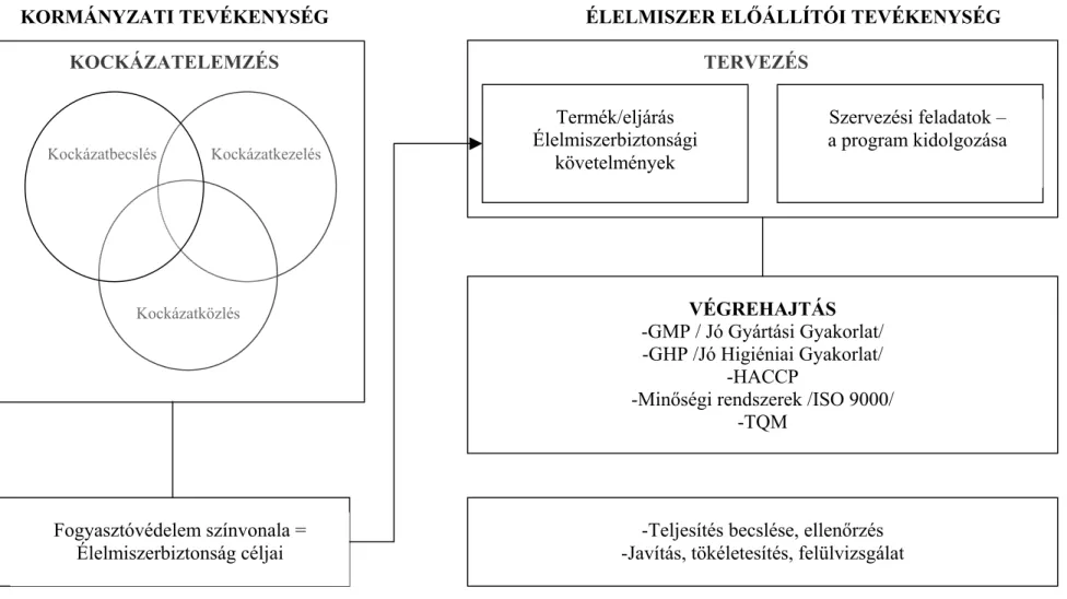 F4. ábra. A kormányzat és az élelmiszerelőállítók élelmiszer-biztonsági tevékenységének kapcsolata (Póderné, 1998)